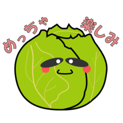 [LINEスタンプ] キャベツのキャベ次郎