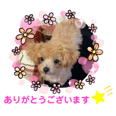 [LINEスタンプ] RONI♡LUKE②