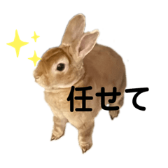 [LINEスタンプ] うさぎスタンプ おこめとこむぎ