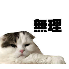 [LINEスタンプ] こはくはうるてと