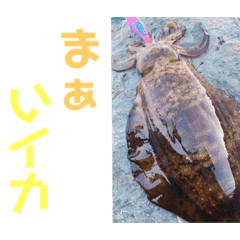 [LINEスタンプ] イカの大冒険（アオリストさん）