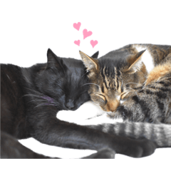 [LINEスタンプ] クーロン＆ブルース②