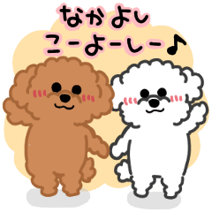 [LINEスタンプ] なかよしトイプードル レッドxホワイト