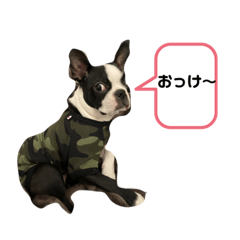 [LINEスタンプ] ほたてと愉快な仲間たち 2
