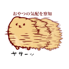 [LINEスタンプ] ポメラニアンの千子ちゃん色々スタンプ