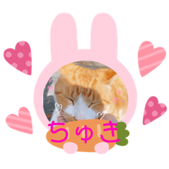 [LINEスタンプ] イッヌ ネッコ 好きの飼い主