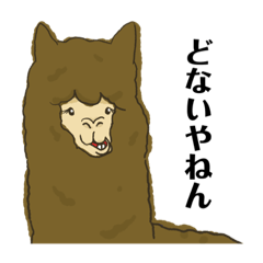 [LINEスタンプ] わい、アルパカさん