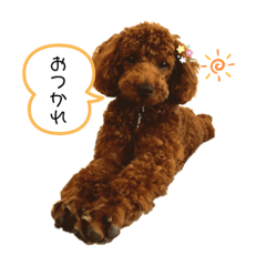 [LINEスタンプ] シェリースタンプ2☆
