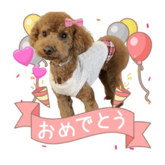 [LINEスタンプ] シェリースタンプ1♡