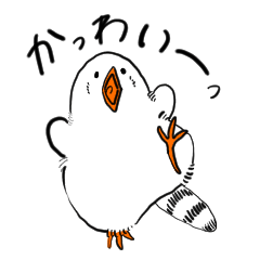 [LINEスタンプ] キンカ鳥のぱぺっちゃん