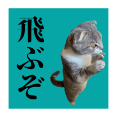 [LINEスタンプ] Glicoの青春スタンプ