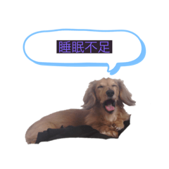 [LINEスタンプ] ♡〜ペットの日常会話〜♡