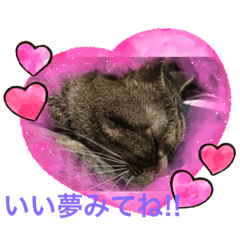 [LINEスタンプ] くぅの気持ち♭