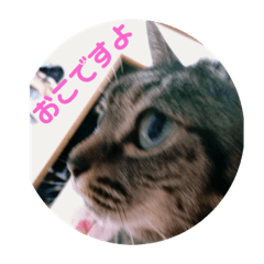 [LINEスタンプ] うるるんスタンプ2