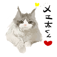 [LINEスタンプ] メエ太くんのスタンプ