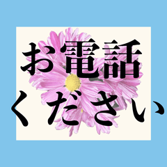 [LINEスタンプ] お花のシニア向けスタンプ