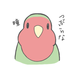 [LINEスタンプ] コザクラインコのこふく