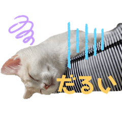 [LINEスタンプ] ジジ Part.2