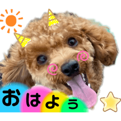 [LINEスタンプ] まぁるんるんるんスタンプ