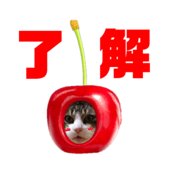 [LINEスタンプ] めいくーれおがっちゃんスタンプ