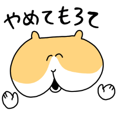 [LINEスタンプ] モルモちゃん ゆるかわスタンプ