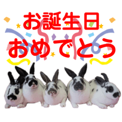 [LINEスタンプ] MINIREXのぱぴぷぺぽ＋