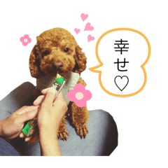[LINEスタンプ] シェリースタンプ3♪