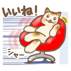 [LINEスタンプ] みけねこの日々