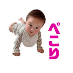 [LINEスタンプ] kate stnp
