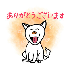 [LINEスタンプ] 紀州犬［はなちゃん］