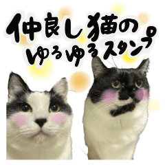 [LINEスタンプ] 保護猫Familyスタンプ おっさんずVer