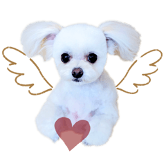 [LINEスタンプ] ライト動物病院ver.5