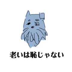 [LINEスタンプ] 老犬オリオン part3