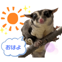 [LINEスタンプ] モモンガな一日