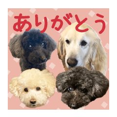 [LINEスタンプ] チームココ