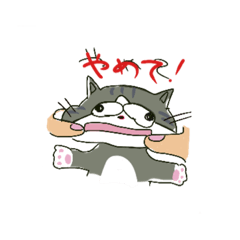 [LINEスタンプ] ねこのすずちゃんスタンプ2