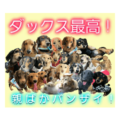 [LINEスタンプ] lovelyダックス・Friends