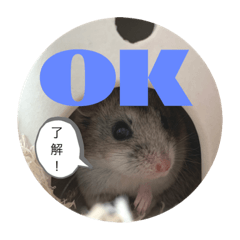 [LINEスタンプ] うにすた-ジオ編-