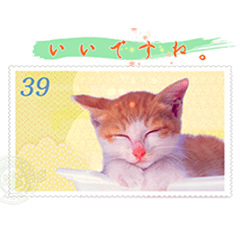[LINEスタンプ] 切手フレームで猫の可愛い仕草1-2