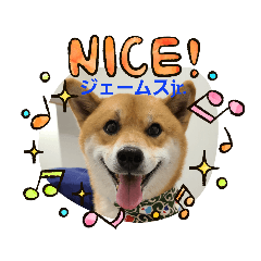 [LINEスタンプ] 柴犬ジェームスjr.7