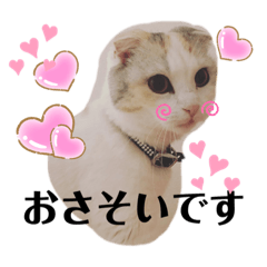 [LINEスタンプ] りんにゃん2021ぱーと2