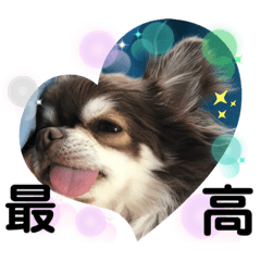 [LINEスタンプ] トラのまき