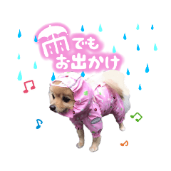 [LINEスタンプ] ふわふわポメラニアンのえりちゃん②