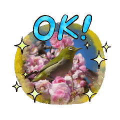 [LINEスタンプ] 写真を使って（7）の画像（メイン）