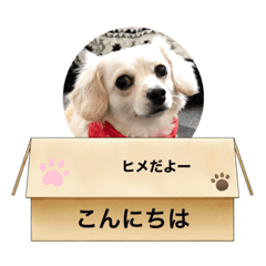 [LINEスタンプ] みんなのヒメ