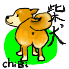 [LINEスタンプ] 柴犬chibi