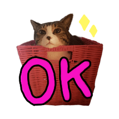 [LINEスタンプ] ララくんとモモちゃんスタンプ