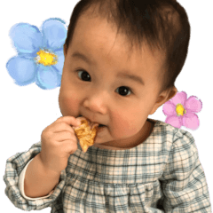[LINEスタンプ] さくら 0歳10ヶ月〜11ヶ月