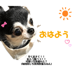 [LINEスタンプ] りぼんちゃん♡スタンプ