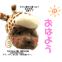 [LINEスタンプ] あんずちゃん♡スタンプ
